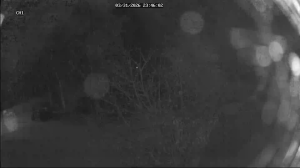 Caméra IP - United States of America