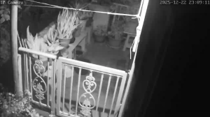 Caméra IP - Martinique