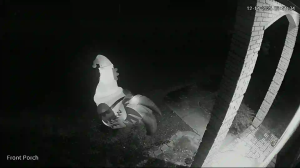 Caméra IP - United States of America