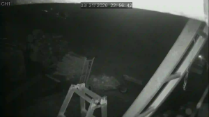 Caméra IP - South Korea