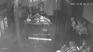 Caméra IP - Afrique du Sud