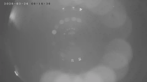 Caméra IP - Russian Federation