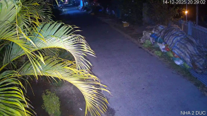 Caméra IP - Vietnam