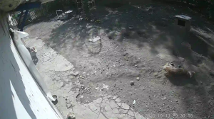 Caméra IP - Ukraine