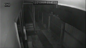 Caméra IP - Neuseeland