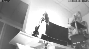 Caméra IP - Mexique