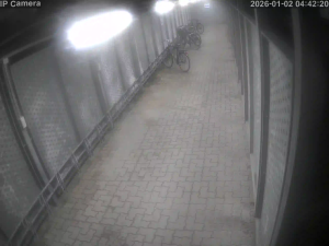 Caméra IP - Denmark