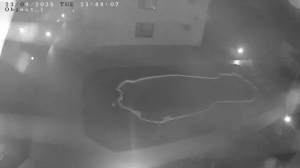 Caméra IP - Ucrania