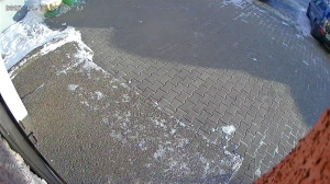 Caméra IP - Vue en direct