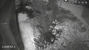 Caméra IP - Morocco