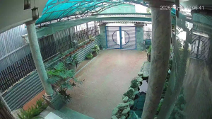 Caméra IP - Vietnam