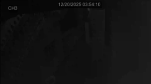 Caméra IP - República de Corea