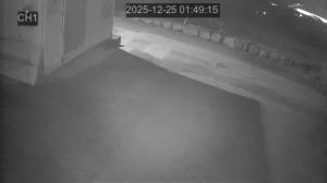 Caméra IP - South Korea