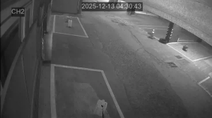 Caméra IP - South Korea