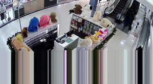 Caméra IP - Russische Föderation