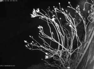 Caméra IP - United Kingdom