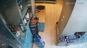 Caméra IP - Türkiye