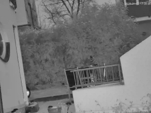 Caméra IP - Deutschland