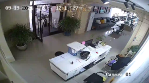 Caméra IP - China