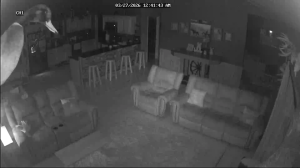 Caméra IP - Stati Uniti d'America