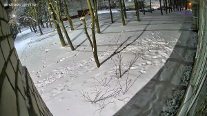 Caméra IP - Russische Föderation