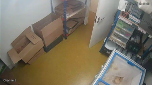 Caméra IP - Portugal