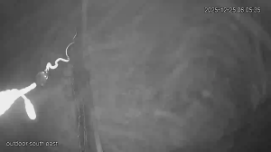 Caméra IP - Vereinigte Staaten von Amerika