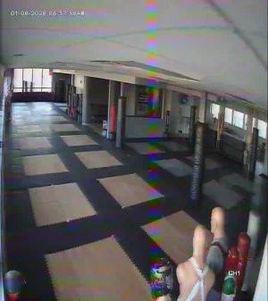 Caméra IP - États-Unis d'Amérique