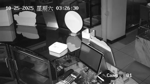Caméra IP - China