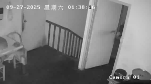 Caméra IP - China