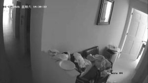 Caméra IP - United States of America