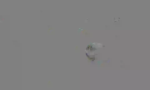 Caméra IP - Singapur