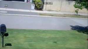 Caméra IP - Australia