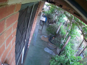 Caméra IP - Australien