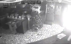 Caméra IP - Russische Föderation