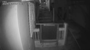 Caméra IP - Porto Rico