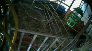 Caméra IP - Südkorea