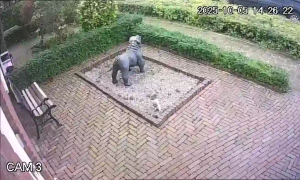 Caméra IP - Netherlands