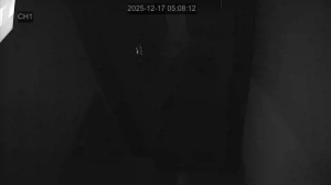 Caméra IP - Corée du Sud