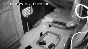 Caméra IP - Denmark