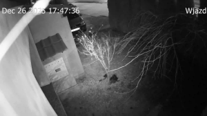 Caméra IP - Pologne