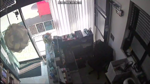 Caméra IP - South Korea