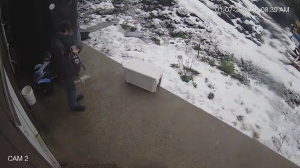 Caméra IP - États-Unis d'Amérique