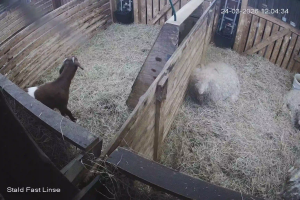 Caméra IP - Dinamarca