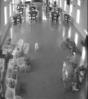 Caméra IP - United Kingdom