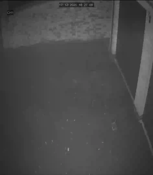 Caméra IP - United Kingdom