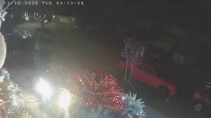 Caméra IP - United States of America