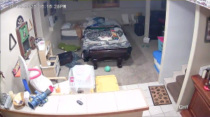 Caméra IP - United States of America