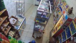 Caméra IP - Pologne