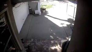 Caméra IP - Estados Unidos